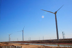 A wind power generating field in Dongying, Shandong Province [CFP]