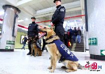 Police patrols aided with sniffer dogs are seen at Beijing&apos;s metro stations on March 30, 2010. [CFP]