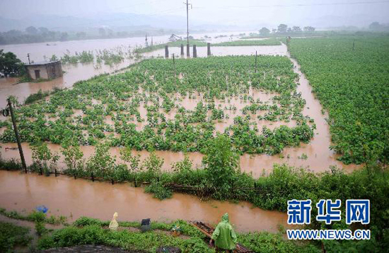 The farmlands are flooded in Ningdu County, Jiangxi Province, on June 18, 2010.