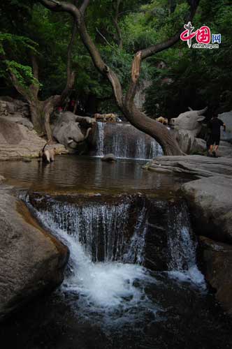 Shuitao Valley is the deepest part of Mianshan Mountain, and the valley stretches long past the end of the paved road. Steps lead up through the trees, past a flowing stream that spills over several waterfalls throughout the valley. [Photo by Courtney] 