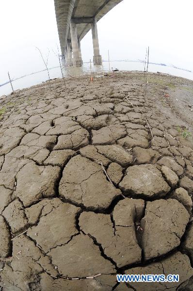 Photo taken on April 12, 2011 shows dry land of Dongting Lake in Yueyang, central China&apos;s Hunan Province. A drought hit Hunan Province in April, with the water level of Dongting Lake falling recently due to the lack of rainfall. Farms that cover about 121,300 hectares and 440,000 people were affected by the drought near Dongting Lake. The local government has organized 350,000 people to fight the drought with equipment to minimize the negative effect.(