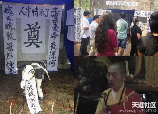 Farmer holds funeral for dairy cattle.