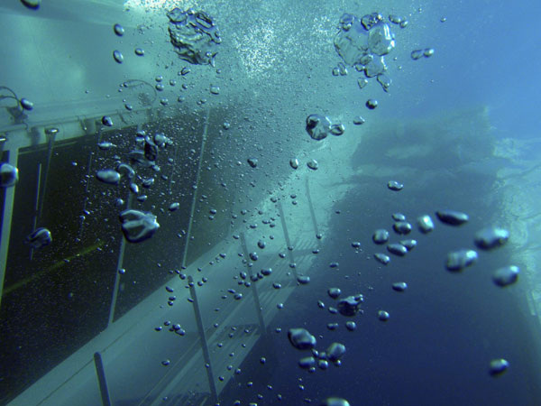 A side of the Costa Concordia cruise ship is seen underwater after it ran aground off the west coast of Italy, at Giglio island in this photo released on Jan 16, 2012. [Photo/Agencies]